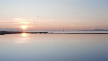 Pembe flamingolu Lakeside, doğa geçmişi var..