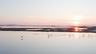 Pembe flamingolu Lakeside, doğa geçmişi var..