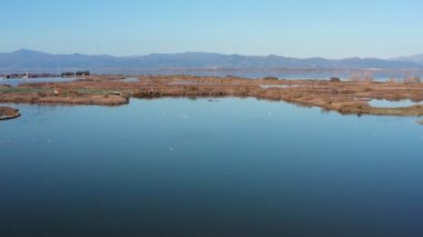 Pembe flamingolu Lakeside, doğa geçmişi var..