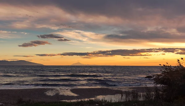 Beautiful Evening Sea Reed Thickets Scenic Sunset Sky Background — 图库照片