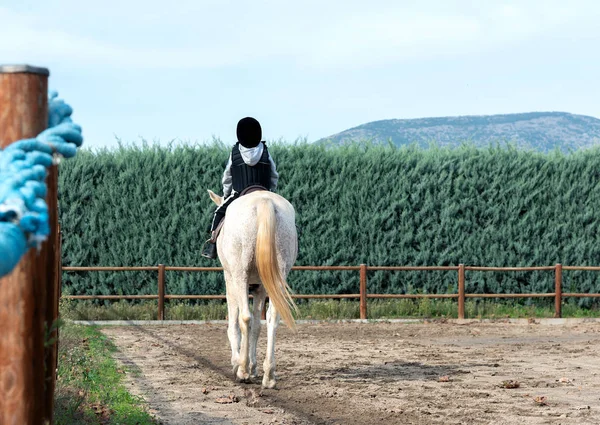 Visão Traseira Criança Montando Cavalo Branco Rancho Espaço Cópia — Fotografia de Stock