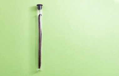 Yeşil arka planda cam tüpte kurutulmuş vanilya meyvesi..