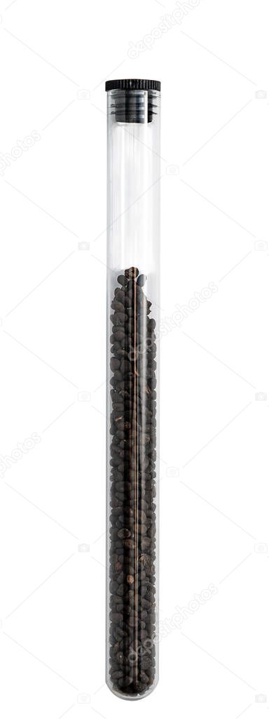 Babchi seeds in glass tube isolated on white background.