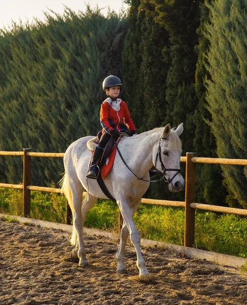 Niño Montando Caballo Blanco Durante Las Clases Equitación — Foto de Stock