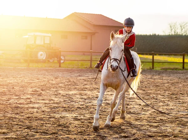 Ragazzo Cavalcando Cavallo Bianco Durante Lezioni Equitazione — Foto Stock