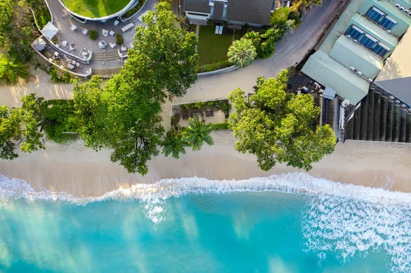 Top view of tropical beach with palm trees, terrace and blue ocean waves. Summertime.