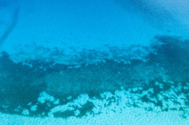 Su altı mercan resifli mavi okyanus manzarası, tropik bölgeler..  
