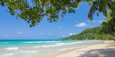 Üzerinde yeşil ağaçlar ve dalgalar olan turkuaz mavi okyanuslu tropik bir sahil..