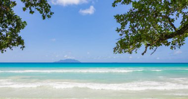 Üzerinde yeşil ağaçlar ve dalgalar olan turkuaz mavi okyanuslu tropik bir sahil..