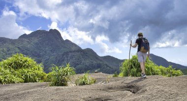 Sırt çantalı ve tahta sopalı turist, tropik dağ ve orman manzarasına bakıyor..