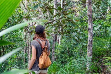 Sırt çantalı sağlıklı bir kadın tropikal ormanda yürüyor.