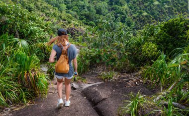 Yeşil tropikal ormanda yürüyen sırt çantalı, zinde bir kadın.