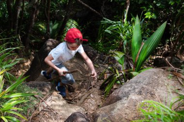 Tahta sopalı çocuk tropikal ormanı keşfediyor..