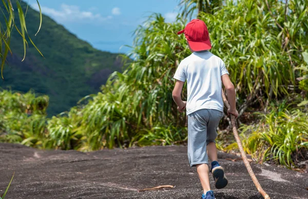 Back View Kid Wooden Stick Exploring Tropics — Stock Photo, Image