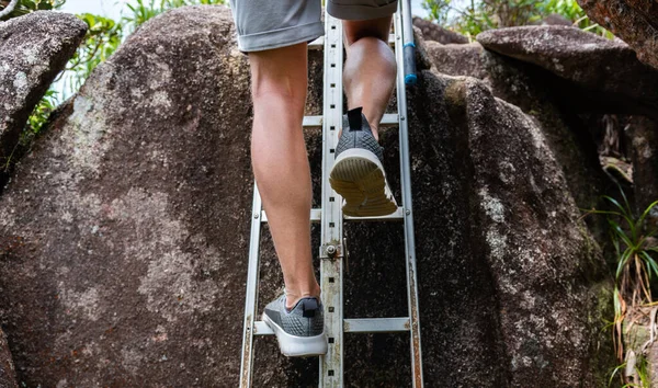 Man climbing up the ladder at the forest, low angle view.