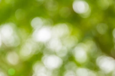 Soyut bokeh ve bulanık renkli doğa arka plan 