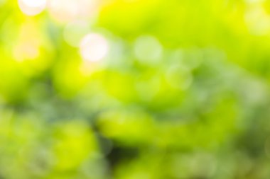 Soyut bokeh ve bulanık renkli doğa arka plan 