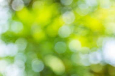 Soyut bokeh ve bulanık renkli doğa arka plan 