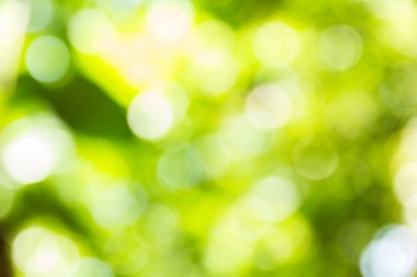 Soyut bokeh ve bulanık renkli doğa arka plan