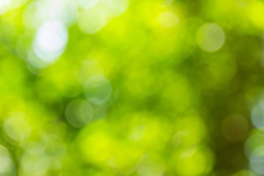 Soyut bokeh ve bulanık renkli doğa arka plan