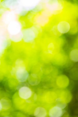 Soyut bokeh ve bulanık renkli doğa arka plan