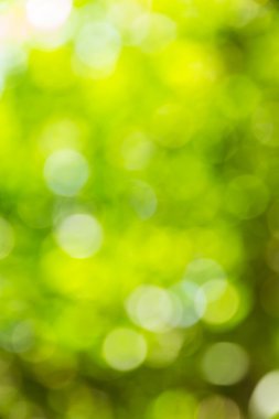 Soyut bokeh ve bulanık renkli doğa arka plan