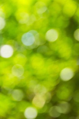 Soyut bokeh ve bulanık renkli doğa arka plan