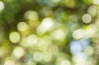 Soyut bokeh ve bulanık renkli doğa arka plan