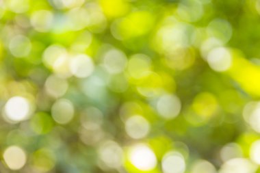 Soyut bokeh ve bulanık renkli doğa arka plan