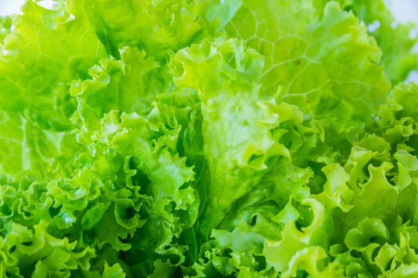 Imagen de la lechuga La materia prima para cocinar como fondo — Foto de Stock