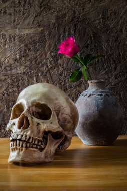 Eski vazoda kırmızı gül ile insan kafatası ile natürmort  