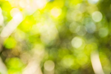 Soyut bokeh ve bulanık renkli doğa arka plan