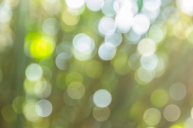 Soyut bokeh ve bulanık renkli doğa arka plan