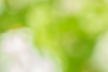 Sarı ve yeşil arka plan doğal 