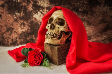 Kırmızı gül ile insan kafatası ile natürmort 