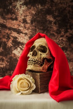 Sahte bir beyaz gül bir insan kafatası ile natürmort 