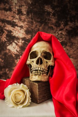 Sahte bir beyaz gül bir insan kafatası ile natürmort 