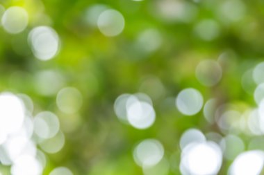 Soyut bokeh ve bulanık renkli doğa arka plan 