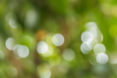 Soyut bokeh ve bulanık renkli doğa arka plan 