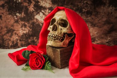 Kırmızı gül ile insan kafatası ile natürmort 