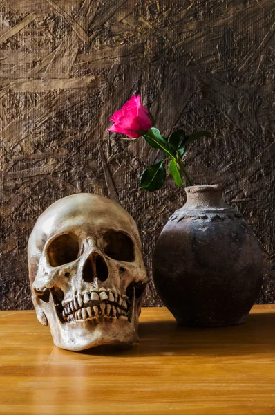 Naturaleza muerta con cráneo humano con rosa roja en el viejo jarrón — Foto de Stock