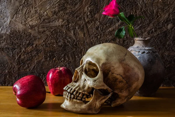 Ainda vida com crânio humano com rosa vermelha no vaso velho e ap — Fotografia de Stock