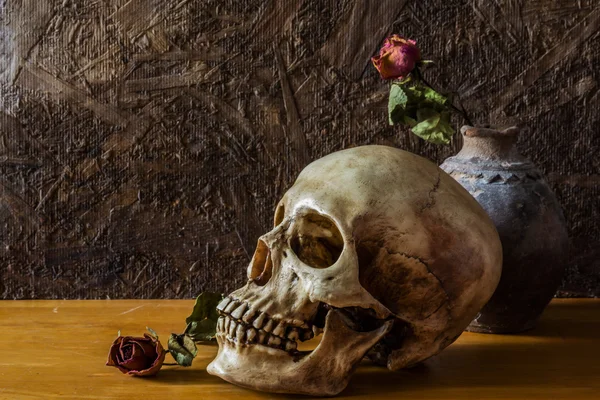 Ainda vida com crânio humano com rosa vermelha no vaso velho — Fotografia de Stock