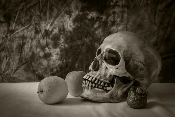 Stilleven met schedel man met appels — Stockfoto