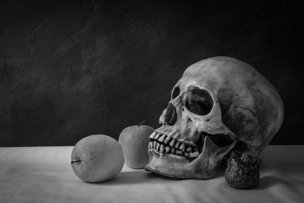 Martwa natura z czaszki człowieka z jabłkami — Zdjęcie stockowe