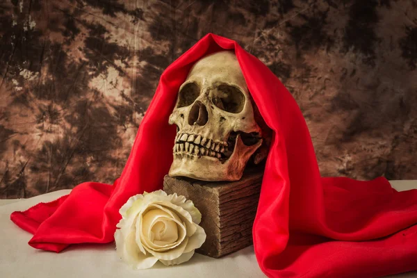 Vida morta com um crânio humano com uma falsa rosa branca — Fotografia de Stock