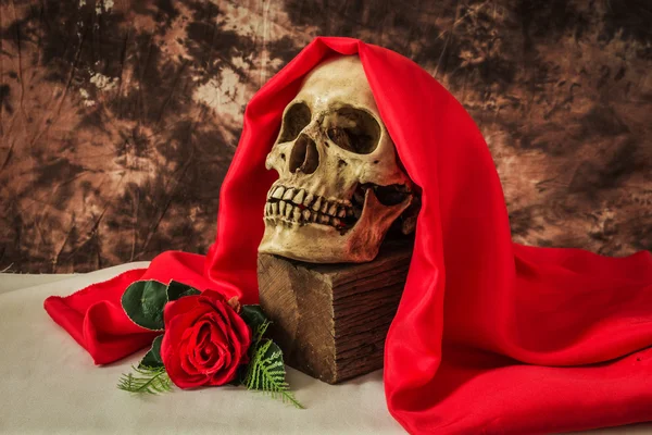 Zátiší s lidskou lebku s červenou růží — Stock fotografie
