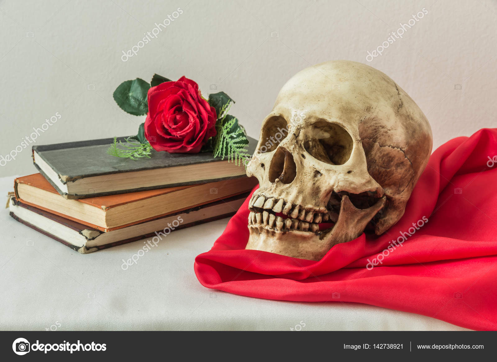 Still Life With A Human Skull With A Fake Red Roses And A Books Stock Photo C Kaewphoto 142738921