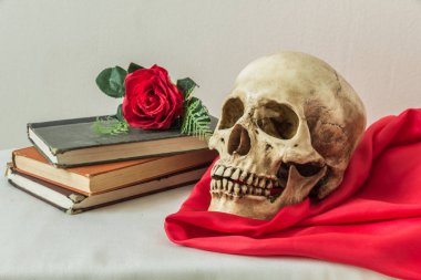 Sahte bir kırmızı gül ve bir kitap ile bir insan kafatası ile natürmort 