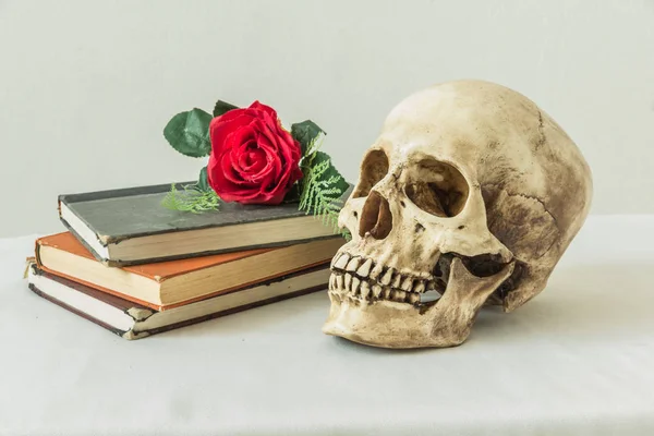 Vida morta com um crânio humano com uma falsa rosa vermelha e um livro — Fotografia de Stock